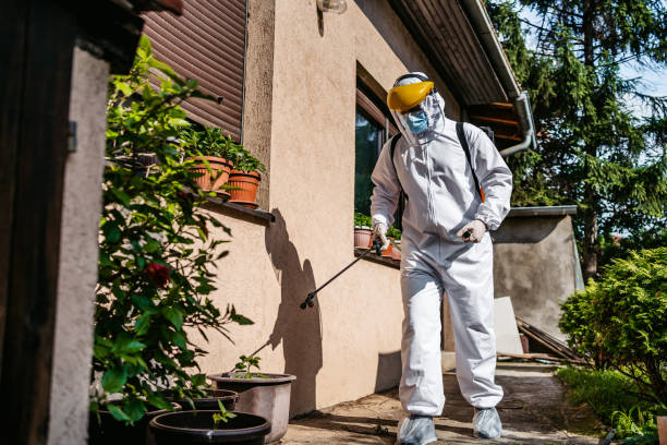 Best Best Pest Control Companies  in Snohomish, WA